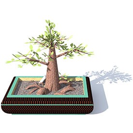 Ficus Bonsai 3D Object | FREE Artlantis Objects Download